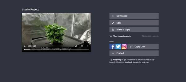 Kapwing Subtitler share screeb